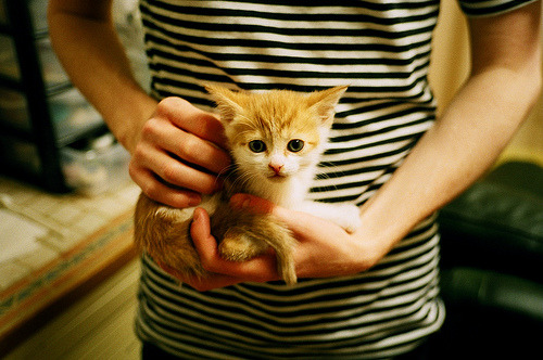 开云在线-“健康监测与运动优化：科技创新开启运动医学新纪元”，运动健康测评