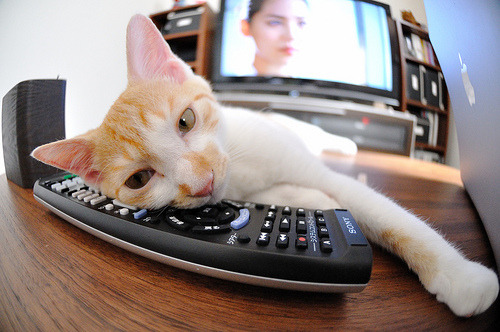 开云体育app安全下载-《英雄联盟MSI对决夜，GEN战队展现绝佳状态击败T1》，英雄联盟msi对抗赛赛程