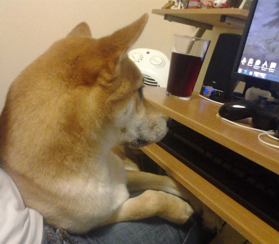 开云娱乐app安全登录-太阳力克尼克斯，全明星赛前哨战中杜兰特三分雨不断，杜兰特太阳集锦