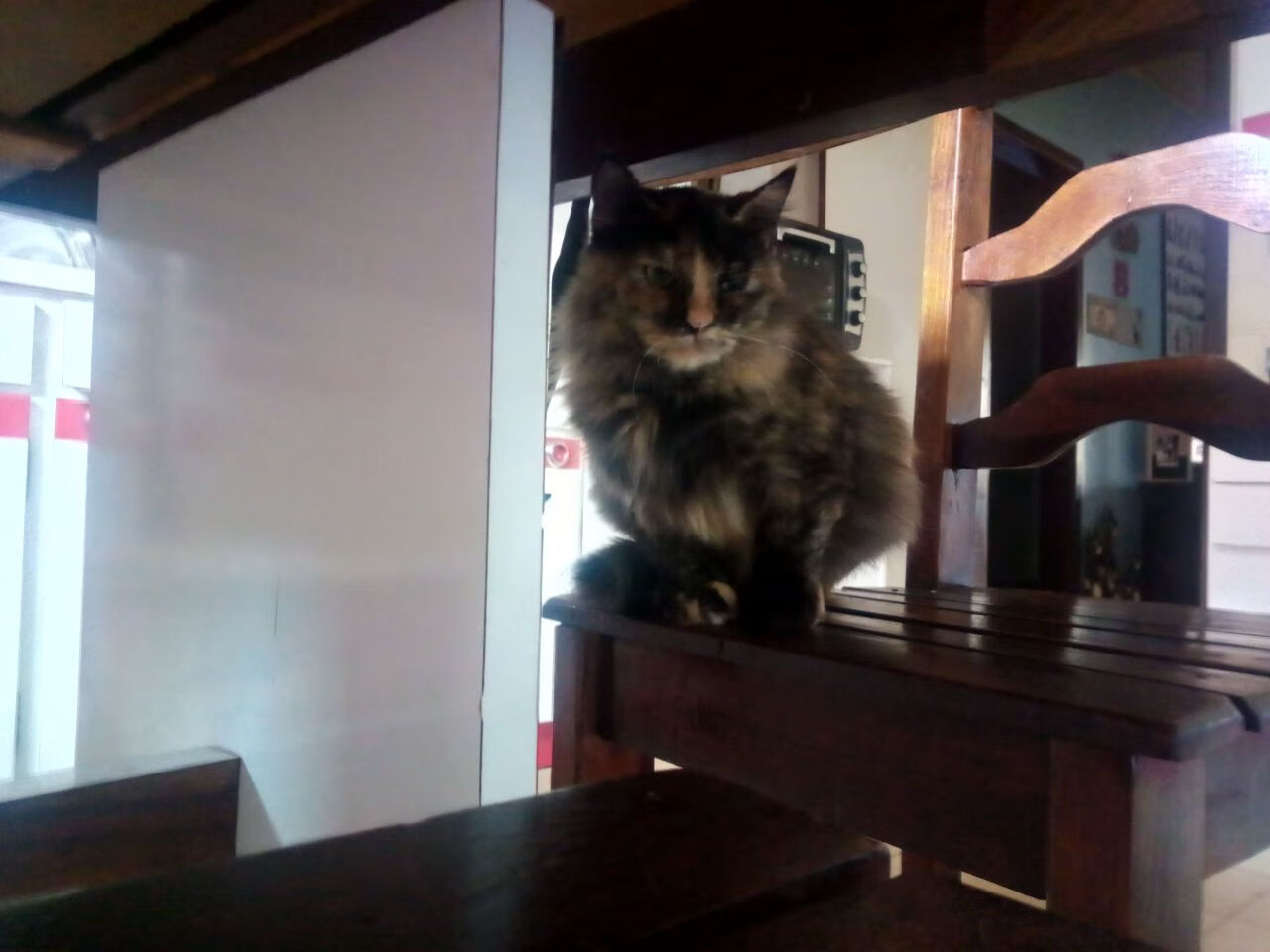 开云APP-巴朗加国王关键比赛取得胜利，巴郎去马尔斯了吗