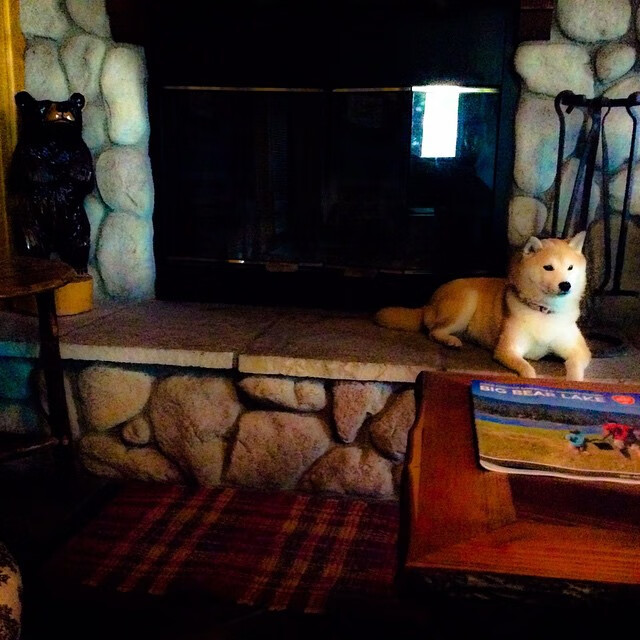 中超新赛季开幕 异军突起成最大看点，中超新赛季各队名单