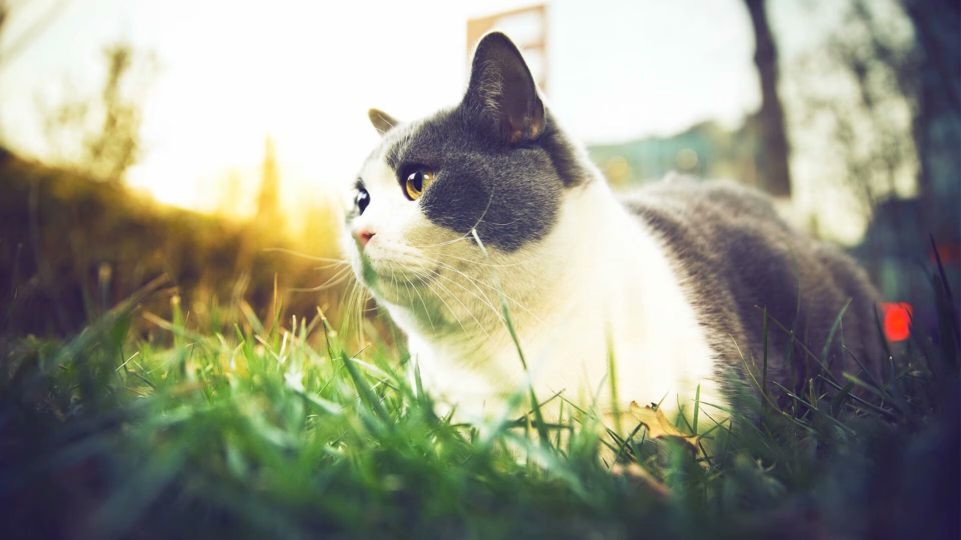 国际热身赛中国女足逆袭 球员斗志感染人心，2021女足热身赛